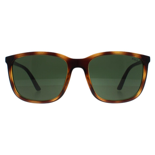 Polo Ralph Lauren Sunglasses Ph4185u 500371 Shiny Havana Dark Green On Onbuy 