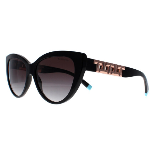 Tiffany & Co Tiffany Sunglasses TF4196 80013C Black Grey Gradient 1