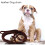 2M Long Leather Braided Traction Collar Strap Training Leash Lead 2