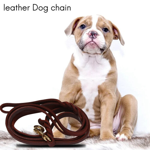 2M Long Leather Braided Traction Collar Strap Training Leash Lead 1