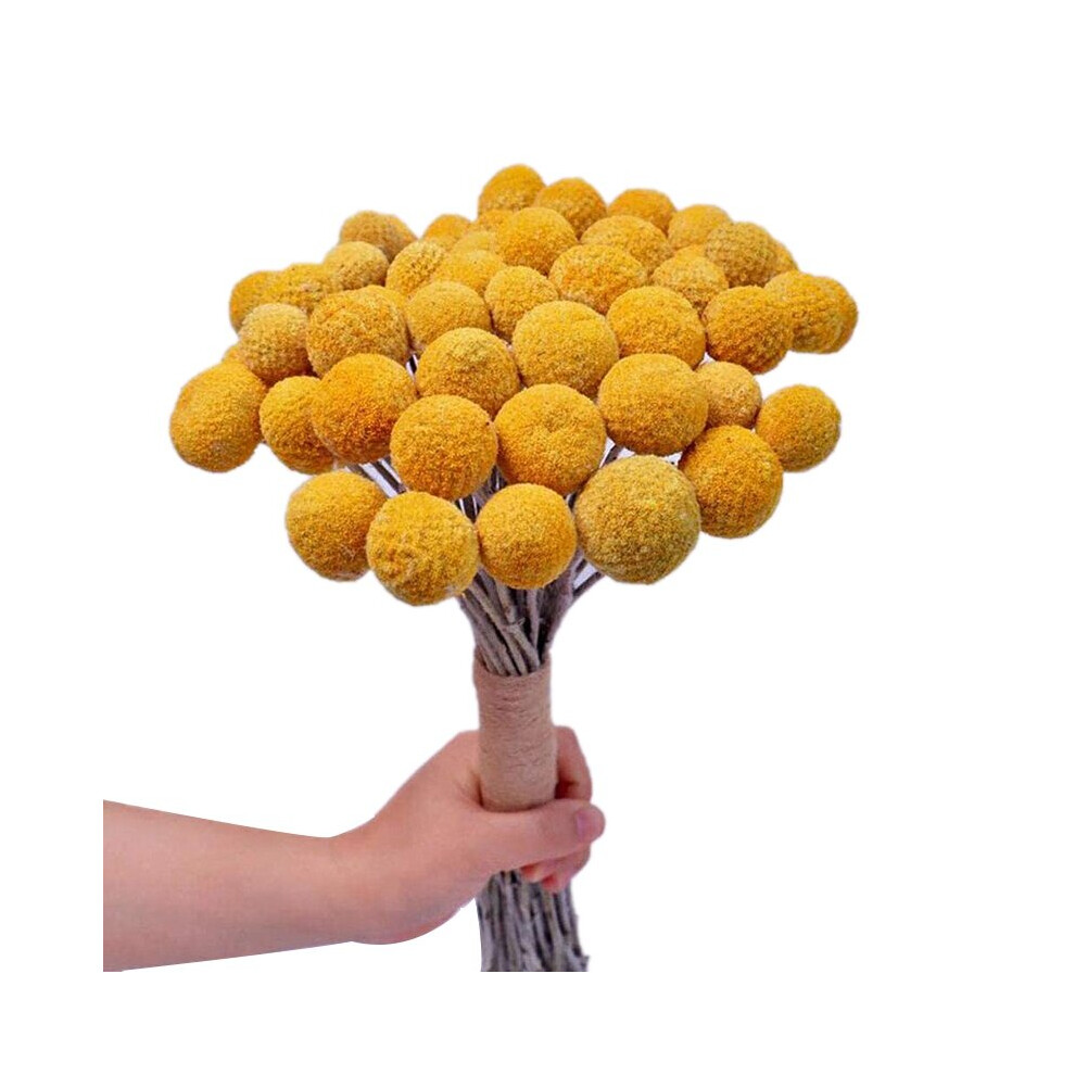 Natural Dried Flower Yellow Ball Bouquet Bunch, Real Harvested Dried Plant Bunch, Decoration Crafts