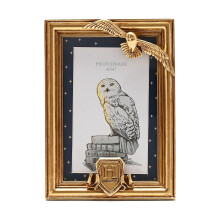 Harry Potter Photo Frame Gold Hedwig 4x6 Hogwarts Alumni Home Gift