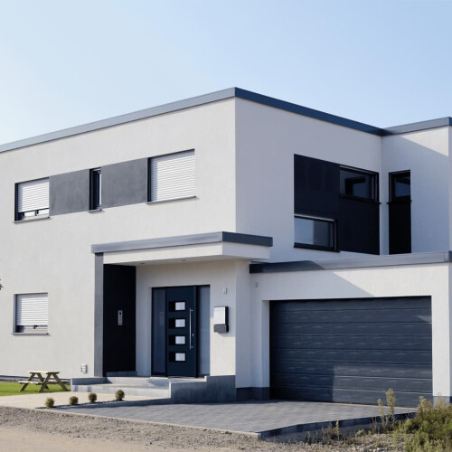 VidaXL vidaXL Haustür Anthrazit 100x200 cm Aluminium und PVC 2