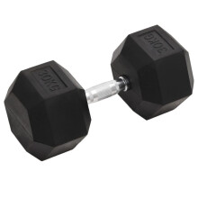 vidaXL Dumbbell 30 kg Cast Iron Barbell Free Weight Plate Bar Hex Dumbbell