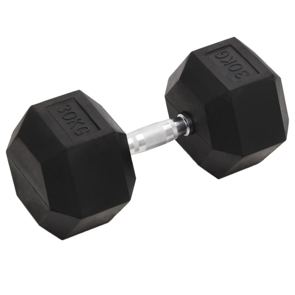 vidaXL Dumbbell 30 Kg Cast Iron Barbell Free Weight Plate Bar Hex Dumbbell