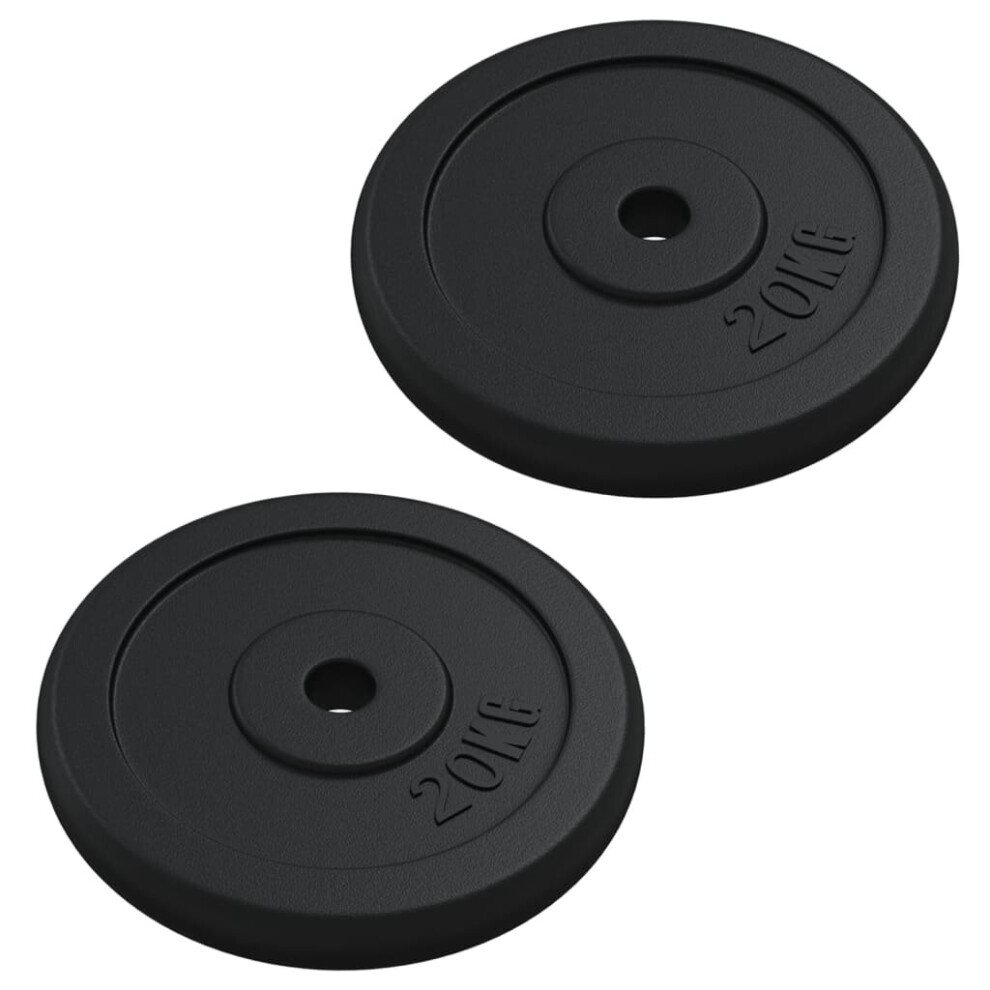 vidaXL Weight Plate 40 kg Cast Iron Barbell Fitness Dumbbell Weight Plate