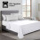 (King, White) 100% Egyptian Luxury Cotton Flat Bed Sheets Single Double King Size UK 1