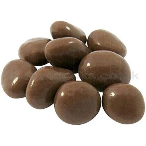 Carol Anne Dark Chocolate Covered Raisins 1kg 1