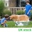 (200FT+10 Mode) Expandable Garden Hose Flexible Water Pipe 10 Pattern Spray Gun 12