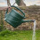 (Green, 7L) Plastic Watering Can 2