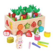 Toddlers Montessori Wooden Educational Sorting Toys