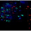 (Color) 3.5M Droop icicle string LED FairyLight Xmas Decor 1