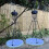 Selections Large Mesh Bird Feeder Seed Catcher Tray (Set of 2) 2