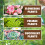 Amino Acid Plant Nutrient Solution Organic Foliar Rooting Concentrate Leaf Tool 5