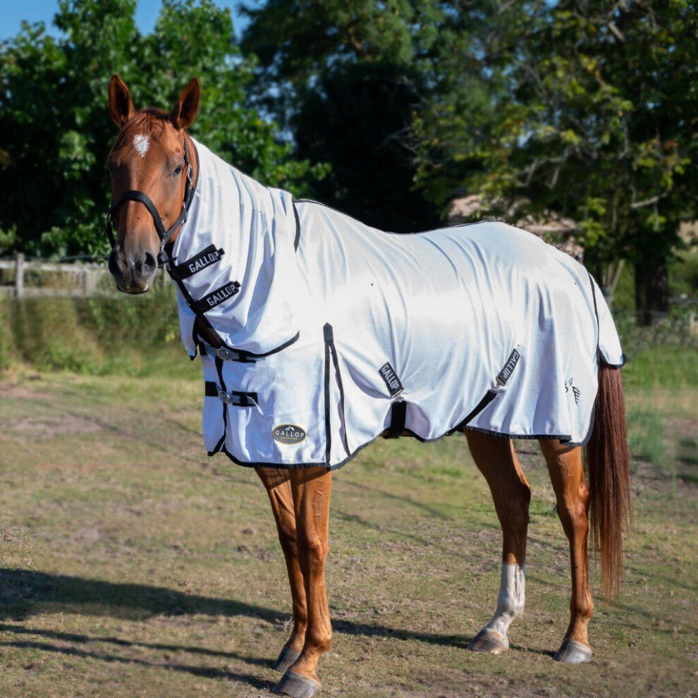 (6'3'') Gallop - Combo Fly Rug