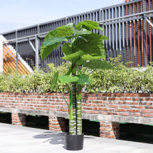 160CM Large Artificial Tropical Tree Potted Plant Indoor Outdoor