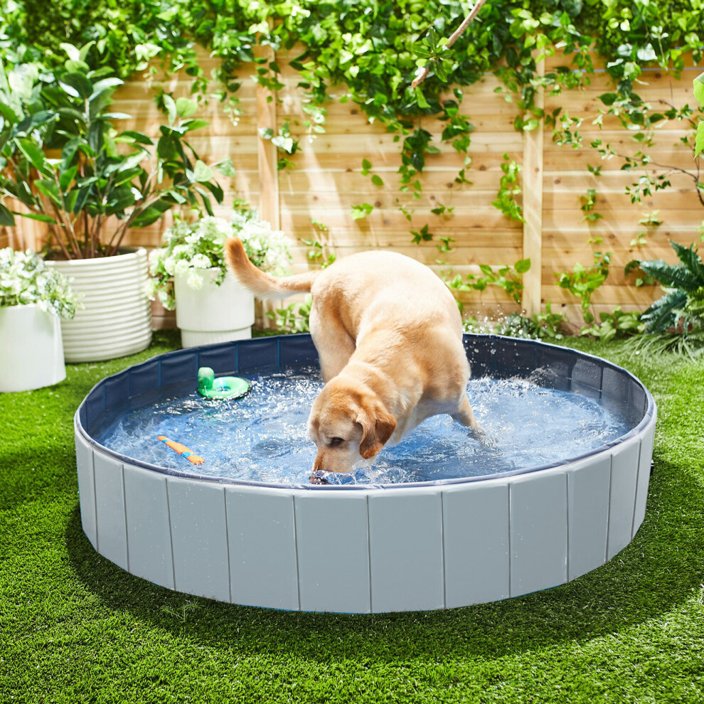 (2XL(Dia:160cm)) (Grey)Dog PVC Plastic Swimming Paddling Pool Bath