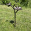 Selections Cast Iron Wild Bird Ornate Flower Dish Bird Feeder 2