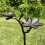 Selections Cast Iron Wild Bird Ornate Flower Dish Bird Feeder 4