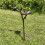 Selections Cast Iron Wild Bird Ornate Flower Dish Bird Feeder 7