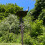 Selections Ornate Cast Iron Bird Bath Ground Stake 3