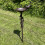 Selections Ornate Cast Iron Bird Bath Ground Stake 8