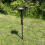 Selections Ornate Cast Iron Bird Bath Ground Stake 4
