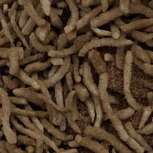Sweet Tobacco 200gm