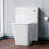 NES Home Modern D Shape Back To Wall WC Toilet and Concealed Cistern Tank 3