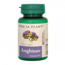 Artichoke, 60 tablets, detoxification of the liver.