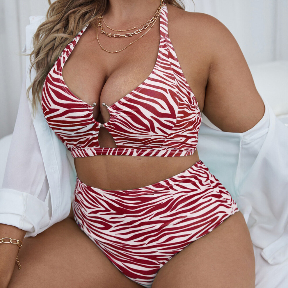 Plus size sales two piece swimsuits