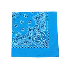 Hip-hop Men Bandana Scarf Printed Paisley In Green Purple Cotton Headband Handkerchiefs