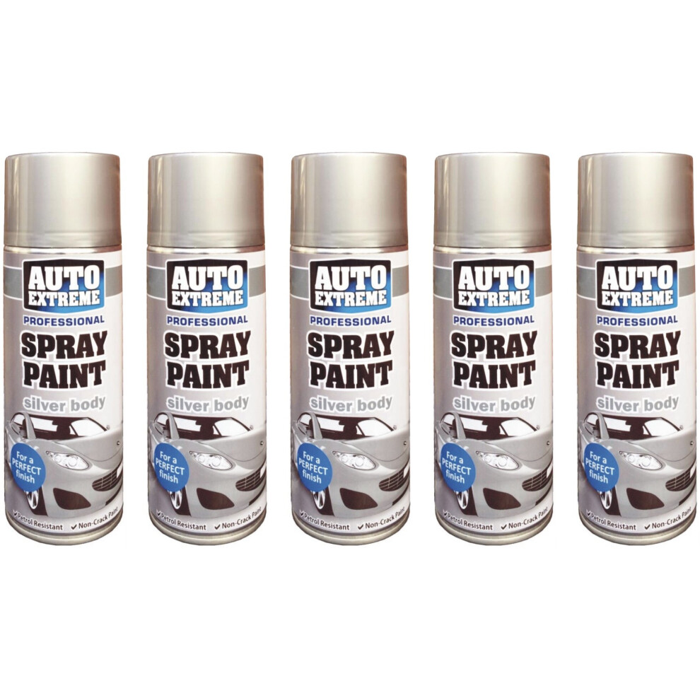 Rapide 5 X 400Ml Car Body Spray Paint Auto Extreme Perfect Finish Automotive Silver