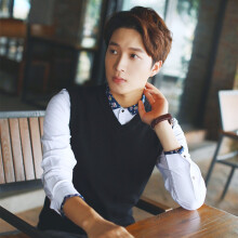 Golf Men's Vest Business Sweater Autumn Casual Solid Sleeveless Clothing Loose V-neck Vest Top Casual Men Cotton Sweater