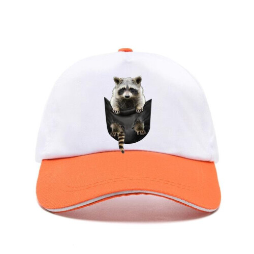 cap hatitte Raccoon In Pocket -1031A Baseball Cap