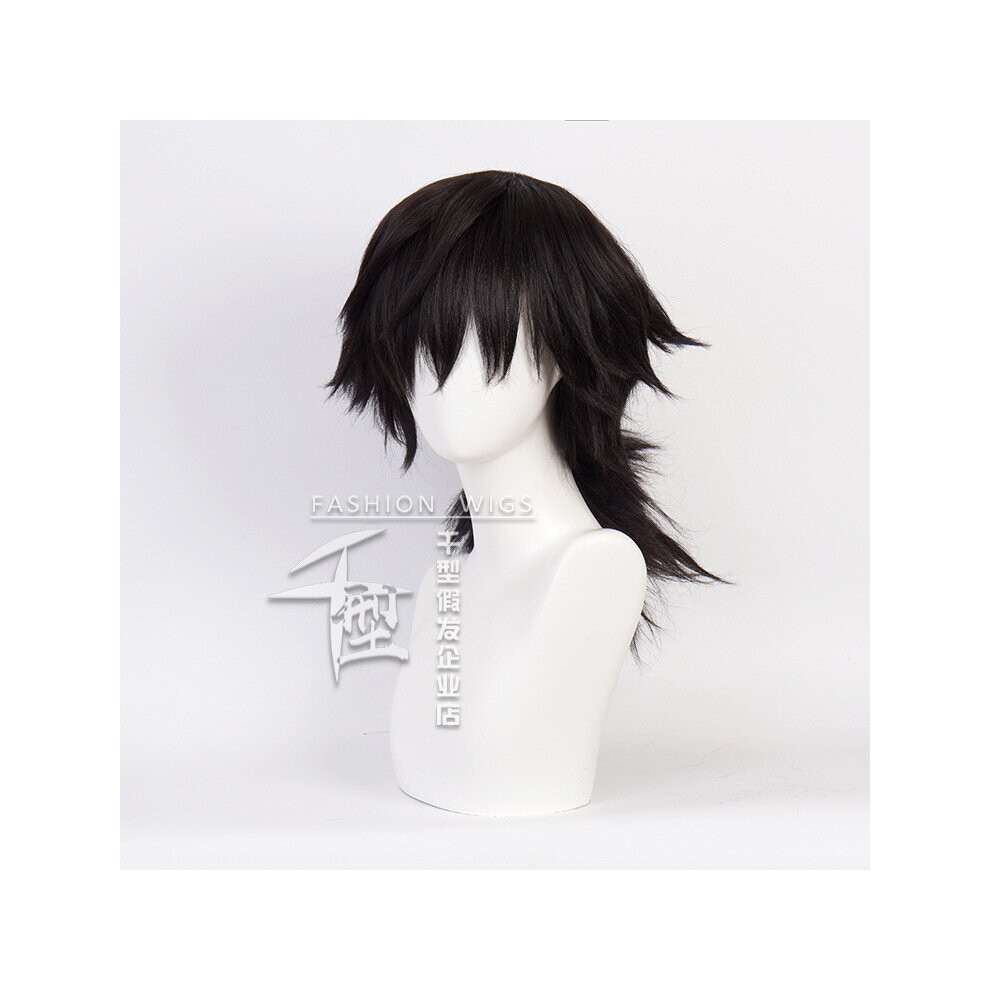 Demon Slayer Kimetsu no Yaiba Tomioka Giyuu Ponytail Wig Cosplay Costume Men Women Heat Resistant Synthetic Hair Wigs-image-OPC-PBR82XG-NEW