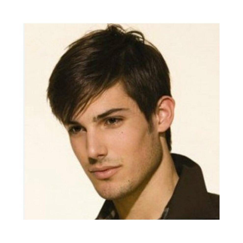 Unisex Multicoloured Wig Short Light Brown Male Straight Synthetic Wig For Men Hair Fleeciness Realistic Natural Brown Toupee Wigs