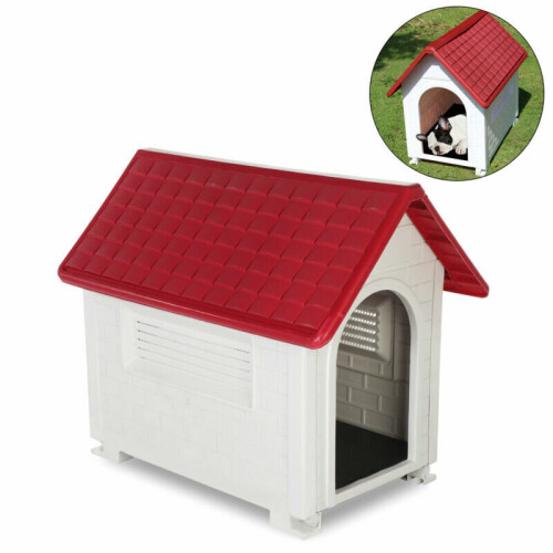 Medium plastic dog clearance kennel