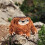 Chalkbag for Rock Climbing 4