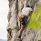 Chalkbag for Rock Climbing 5