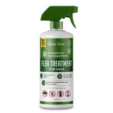 Flea Treatment for Dogs | Protection For Your Dog And Home