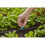 Gardena Micro-Drip-System Small Area Spray Nozzle: Spray nozzle for automatic irrigation system, for small areas up to 40 cm in diameter, simple connection 4