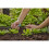 Gardena Micro-Drip-System Small Area Spray Nozzle: Spray nozzle for automatic irrigation system, for small areas up to 40 cm in diameter, simple connection 5
