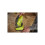 Ryobi RLCL18-0 18V ONE+ Cordless LED Clamp Light (Bare Tool), Green 4
