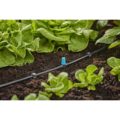 Gardena Micro-Drip-System Small Area Spray Nozzle: Spray nozzle for automatic irrigation system, for small areas up to 40 cm in diameter, simple connection 2