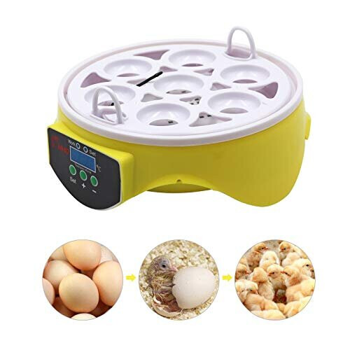 Eggs Incubator Poultry Incubator, Manual Egg Turner Incubator