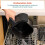 COSORI Small Air Fryer Oven 2L, 4-in-1 Mini Air Fryer, Energy-saving, Reheat, Space-saving & Low-noise, Nonstick and Dishwasher Safe Basket, 97% less oil, 7