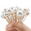36Pcs Pearl Hair Pins, Bridal Pearl Hair Pins Pearl Bobby Clips U Shaped Pearl Hair Pins Set for Wedding, Bride, Bridesmaid, Girls, Women(Gold+Silver) 1