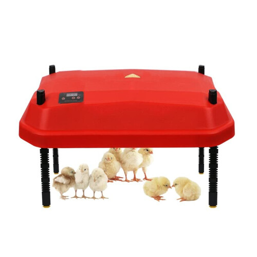 Chick Brooder Heating Plate Chicks Heating Plate Brooders with