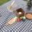Large Picnic Blanket Waterproof Outdoor Picnic Mat Foldable Blankets 9